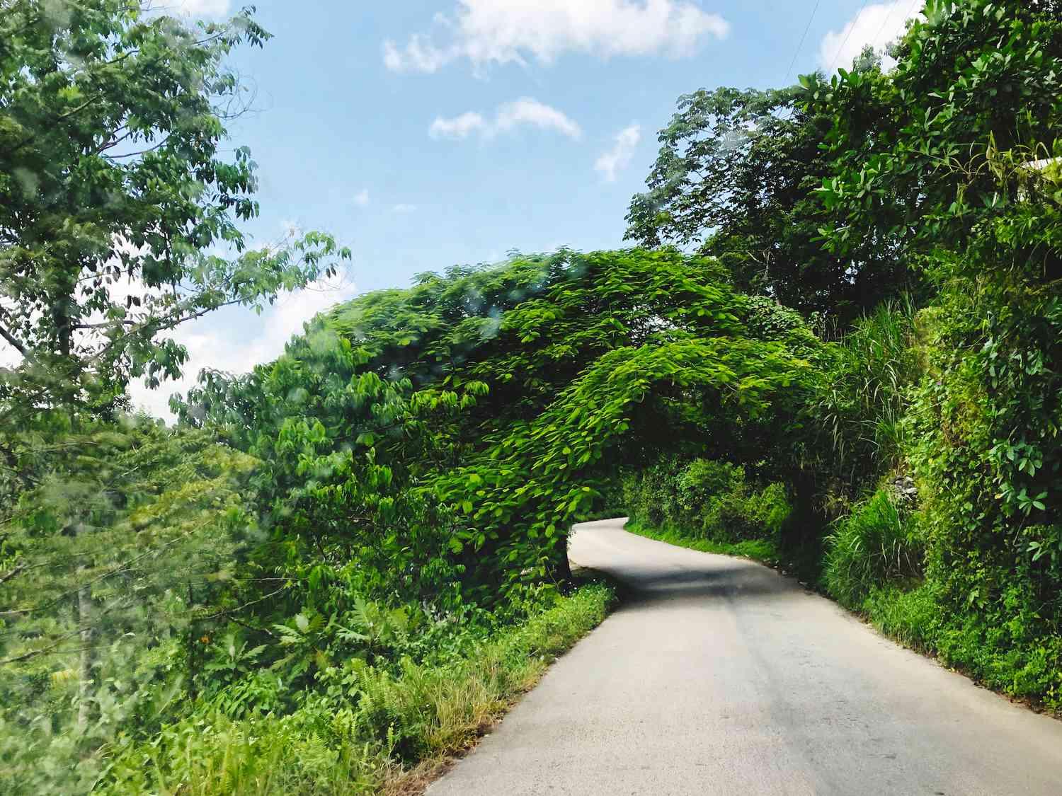Exploring Jamaica with Curated Car Rentals